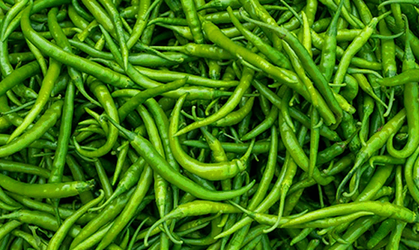 Green Bird Eye Chilli