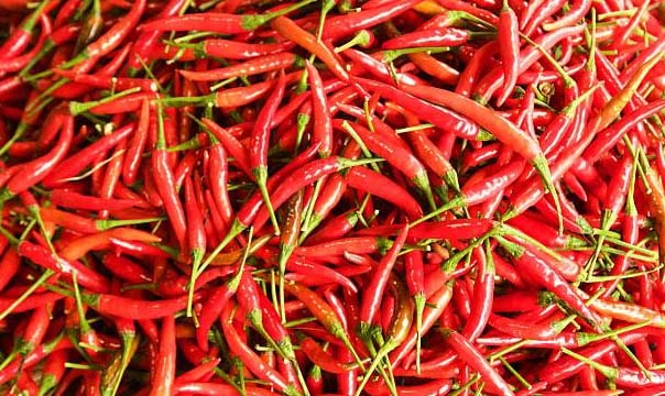Red Bird Eye Chilli
